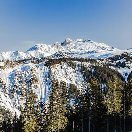 Alpes Du Pralong Hotel 5*