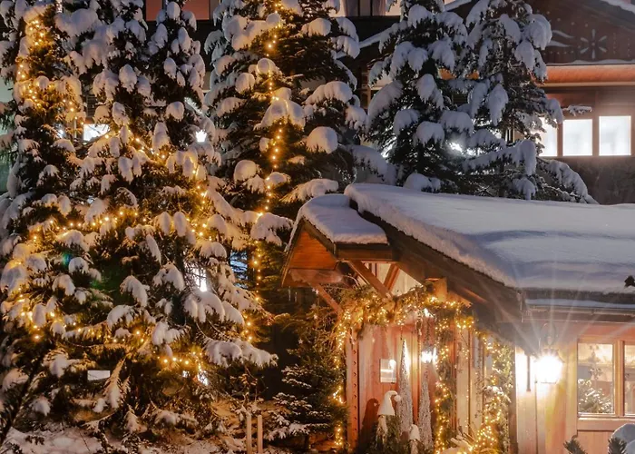 Hotel Alpes Du Pralong