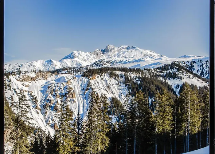 Alpes Du Pralong Hotel 5*