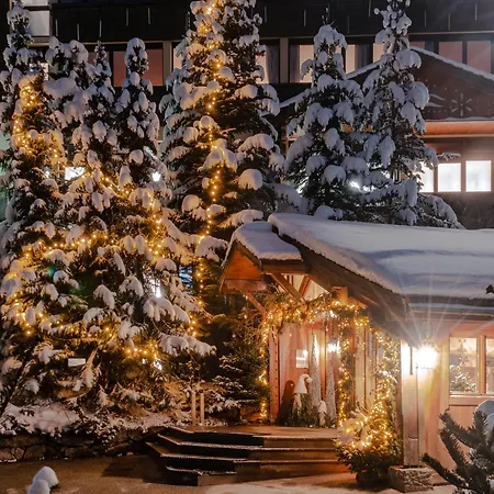 Otel Alpes Du Pralong